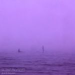 IMG_1487 - Version 3