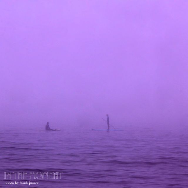 In the Moment by Frank&nbsp;Juarez